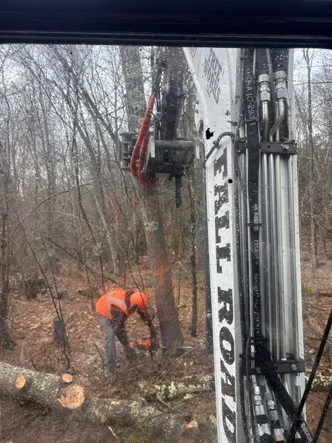 work photo from fallroadtreeworks.com