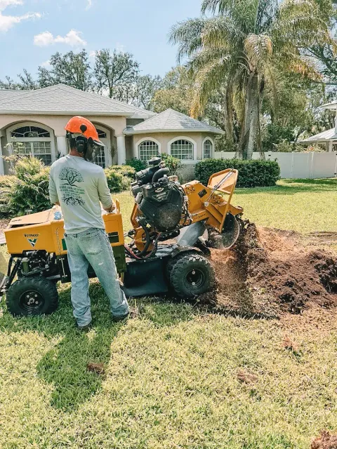 work photo from faithtreeservices.com