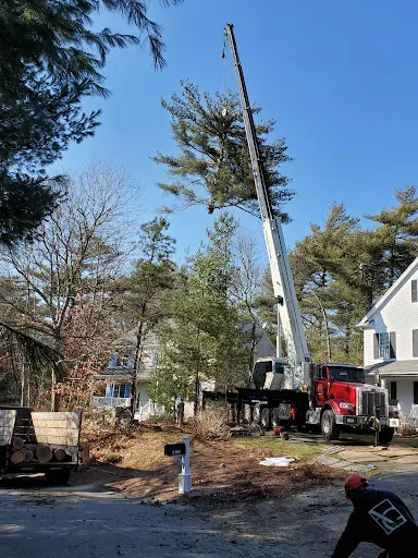 Review photo by Don MacDonald