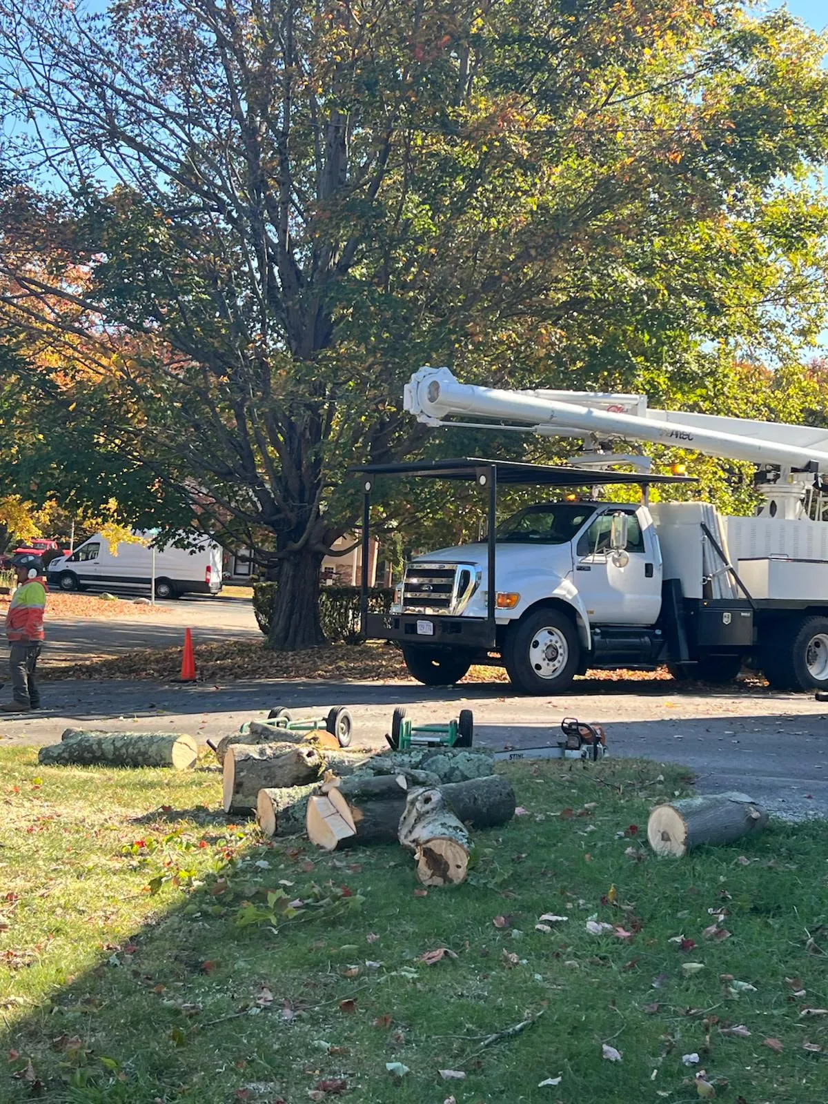 work photo from Google listing
