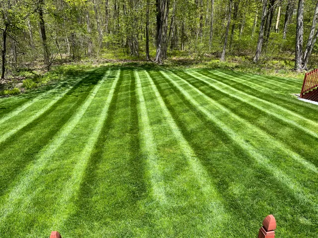 Cesar's Lawn Maintenance and Masonry work photo