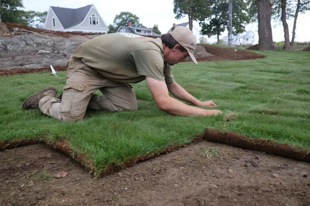 Garden Guys Landscaping work photo