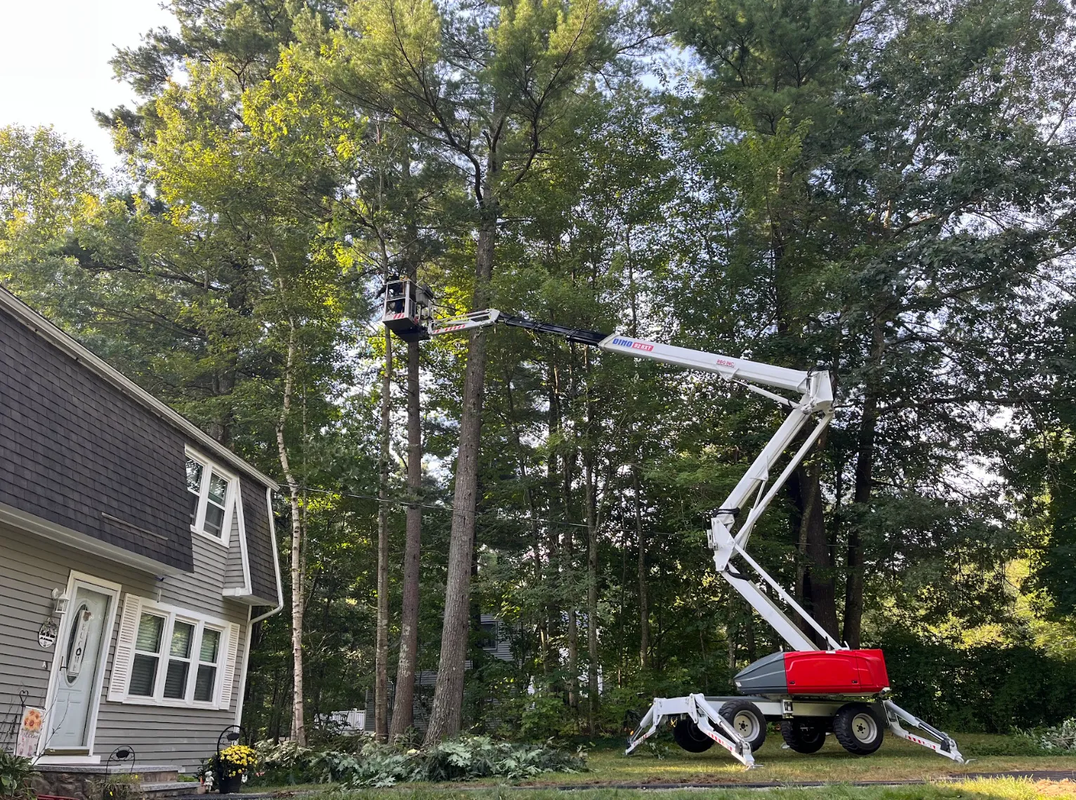 work photo from Google listing