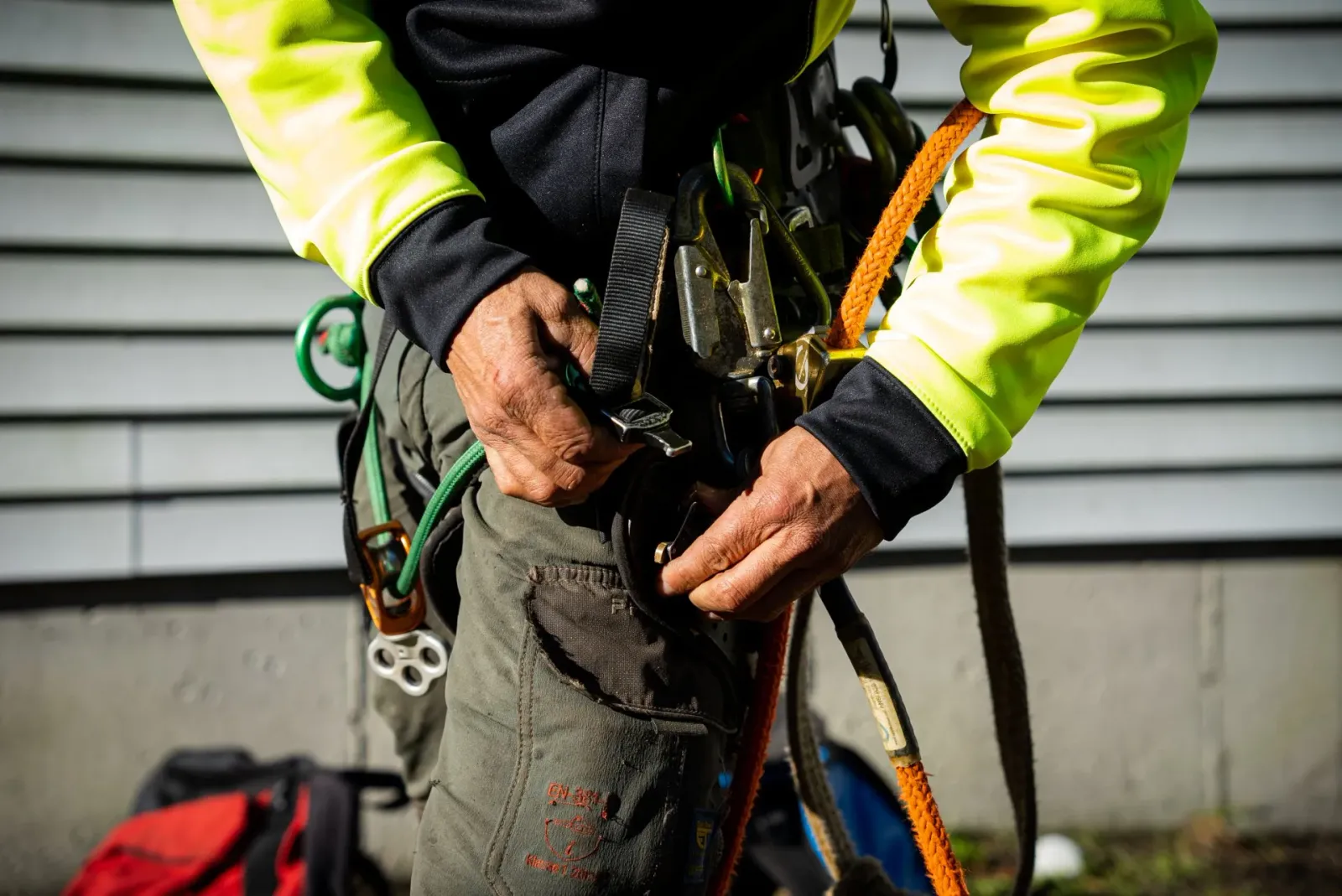 Tree removal safety equipment