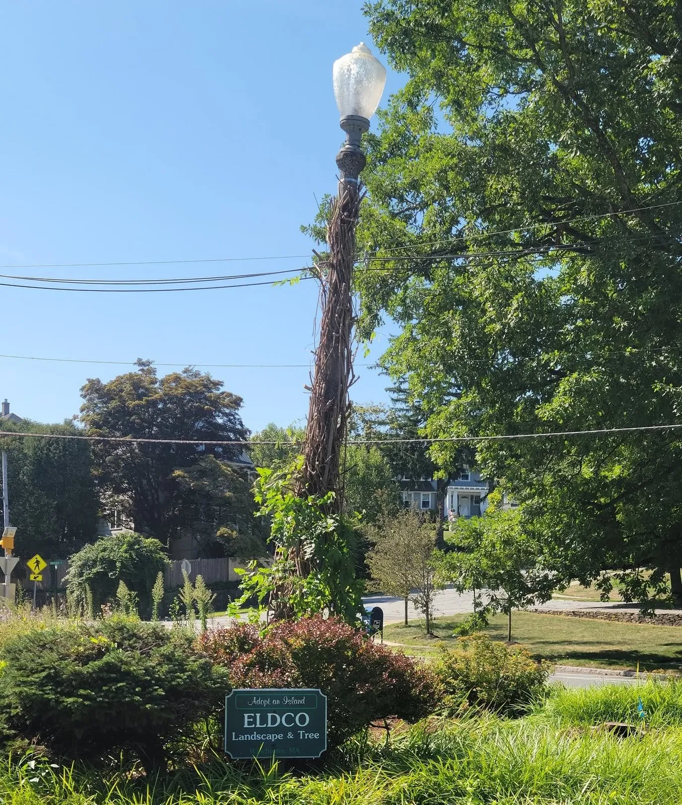 Eldco, Inc Landscape, Tree, and Irrigation Services researched project photo