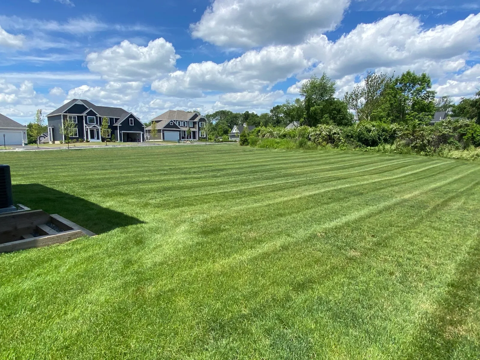 Freshly mowed lawn in a suburban neighborhood with houses, a clear blue sky, and clouds.
