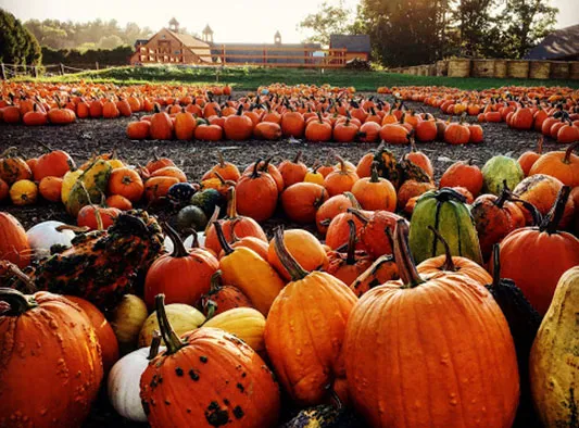 Tyngsborough, MA