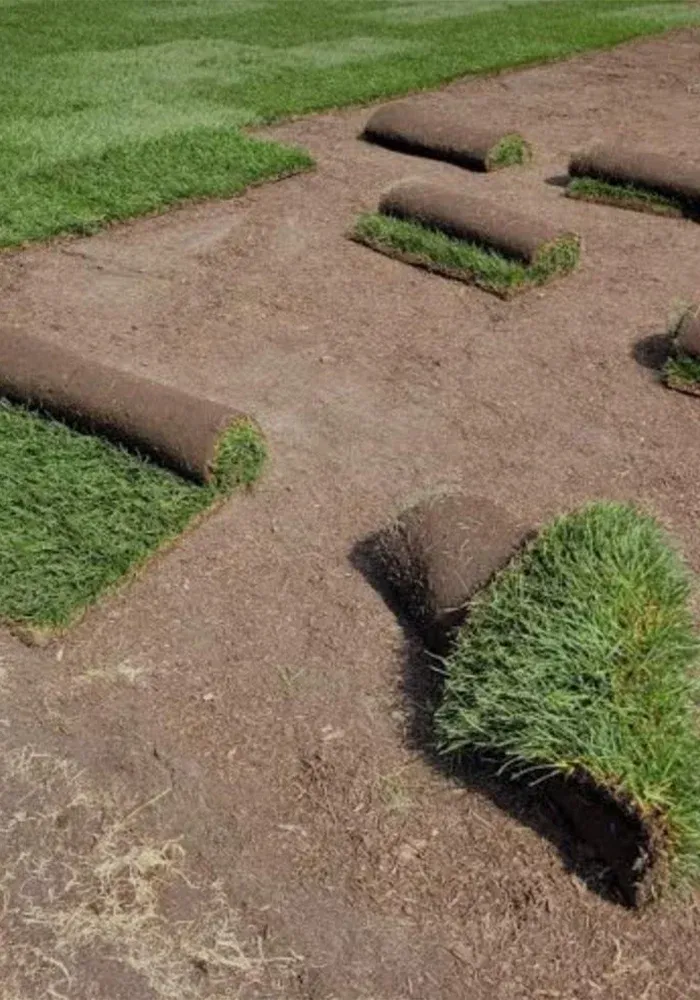 Hydroseeding & Sod