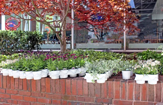 Four Seasons Greenery work photo