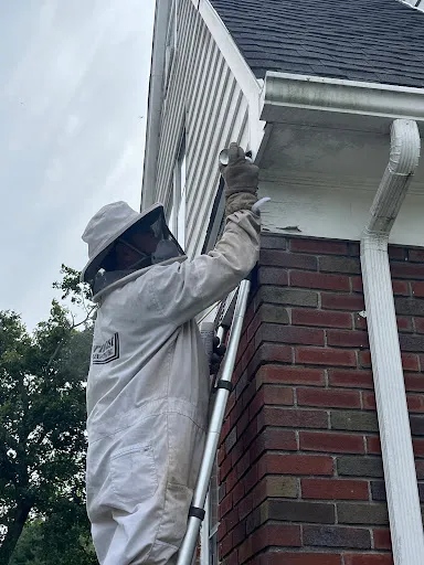 Northeast Exterminating, INC. work photo