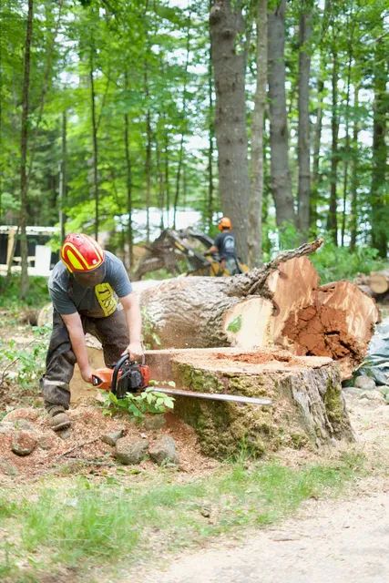 work photo from gardnertreeme.com