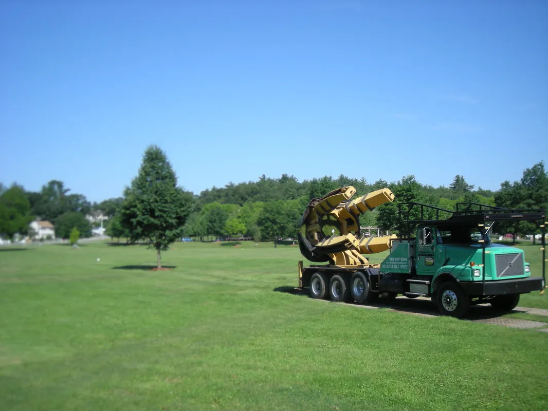 work photo from greenotreemovers.com