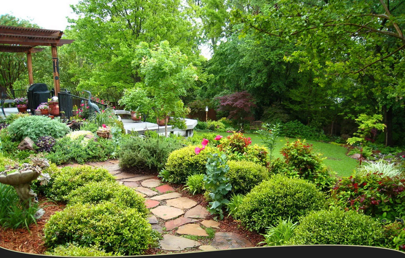 Lexington Landscaping Services
