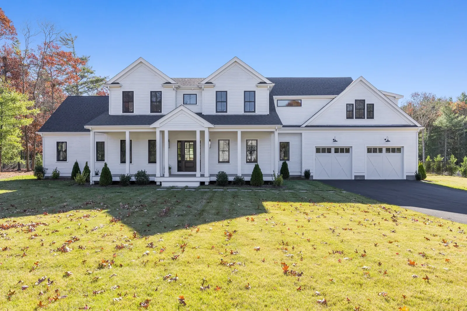 Backyard and exterior siding detail