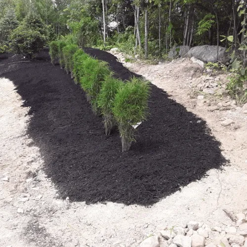 Oliver's Landscaping researched project photo
