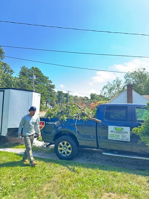 GB Landscape truck loaded with removed brush