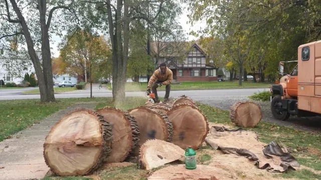 BD LANDSCAPE & TREE SERVICE researched project photo