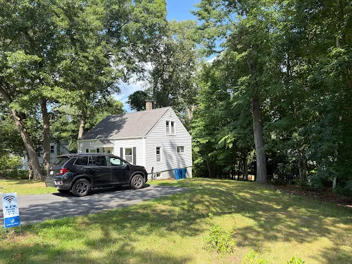 O.G. Tree Service LLC work photo