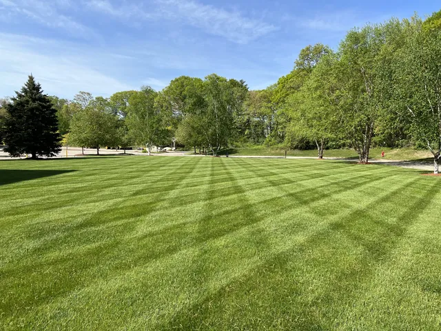 The Turf Manager researched project photo