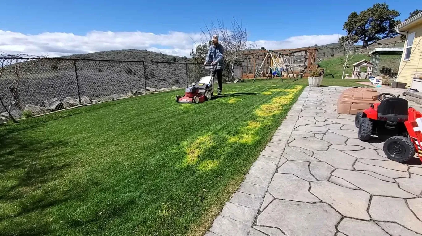 Professional lawn mowing service with paver patio in Brookline, MA