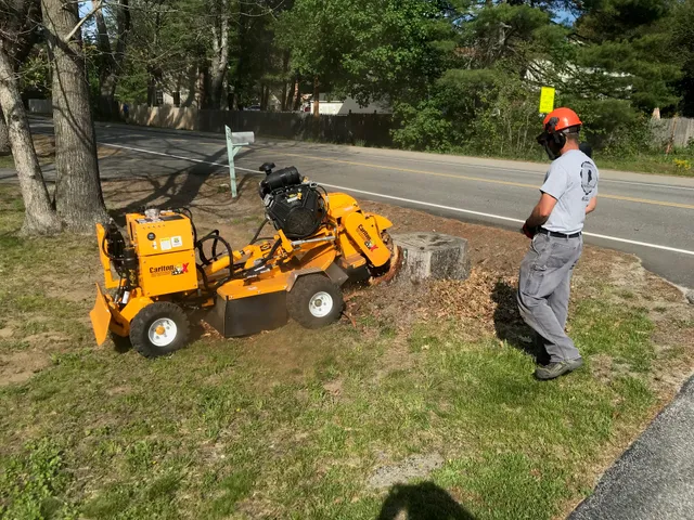 Pine State Stump Grinding work photo