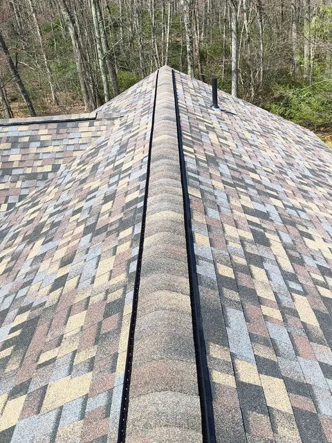 Roof with multicolored shingles and a central ridge, surrounded by trees.
