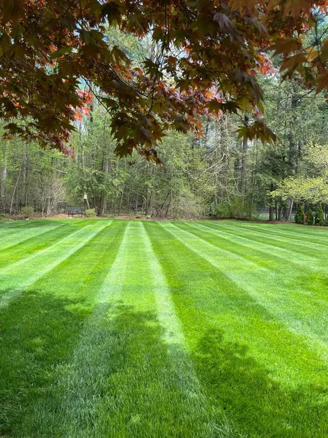 Herrins Landscaping LLC work photo