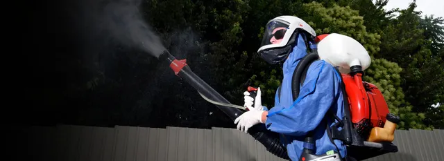 Best Pest Control Company in Western Massachusetts