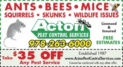 work photo from actonpestcontrolservices.com