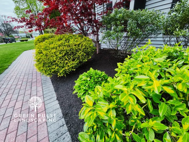 Green Pulse Landscaping work photo