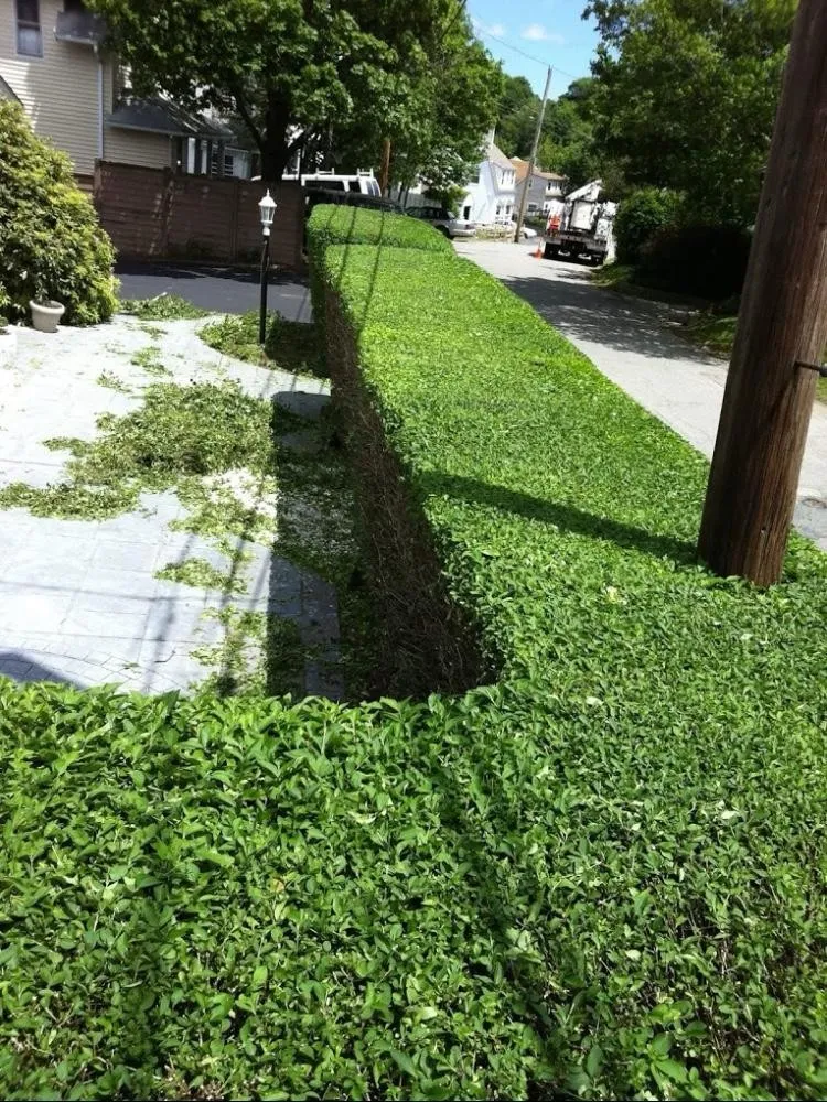 work photo from northlandscapingcorp.com
