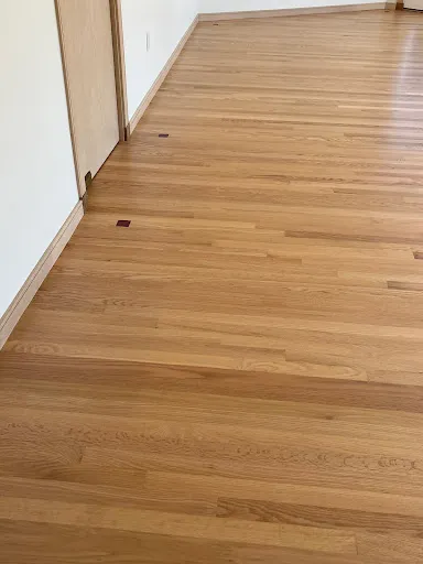 Elvis Hardwood Floors work photo