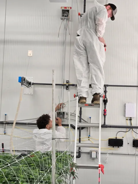 Electrical Wiring