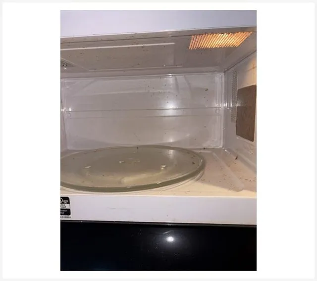 Before: Microwave before and after cleaning