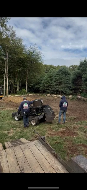 work photo from yandbtreeservices.com