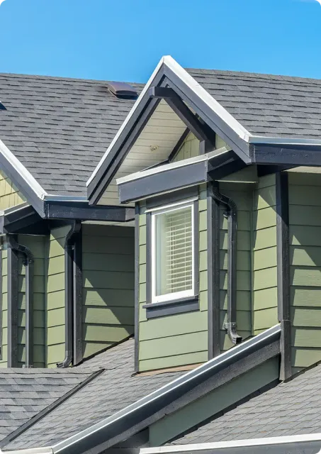 Green siding and black trim on suburban home