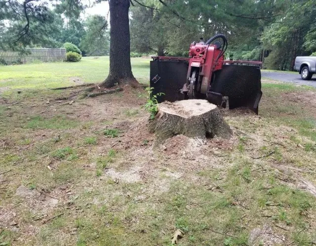 work photo from superiorstumpgrinding.com
