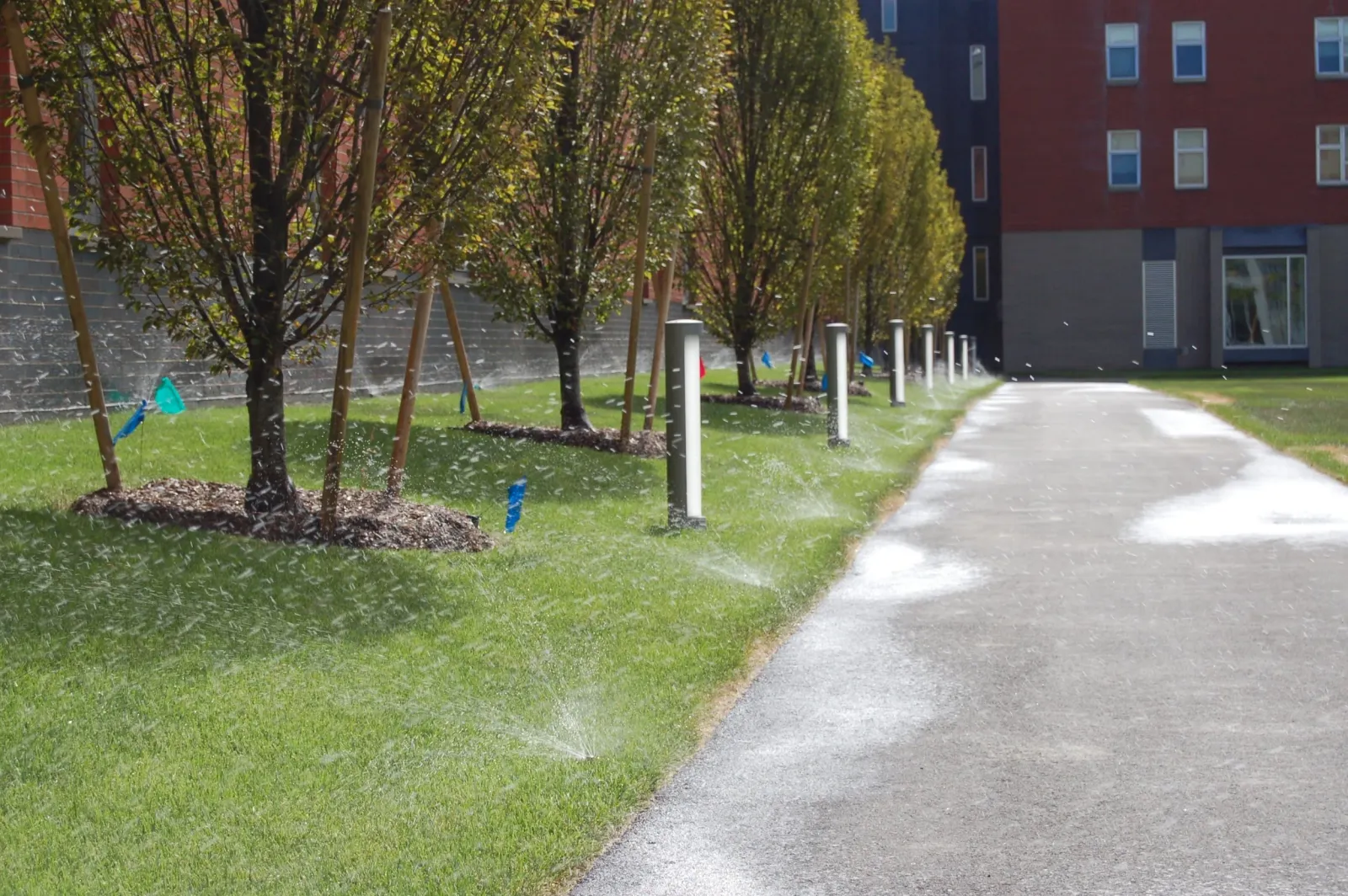 Irrigation System Maintenance Boston. Environmentally Friendly Landscaping in Greater Boston.