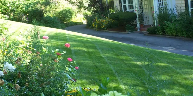work photo from modernlandscapinganddesign.com