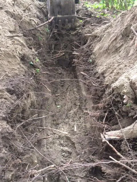 Septic System Repairs Berkshires, Sewer Line Repairs Berkshires, Drain Cleaning Berkshires, Excavation Contractors Berkshires