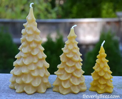 Beverly Bees