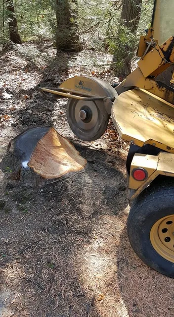 Stump grinding machine grinding a large stump, restoring usable yard space.