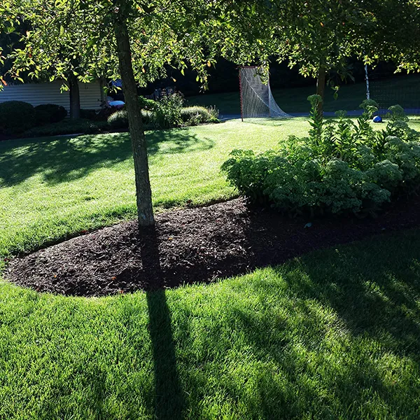work photo from greenskeeperlawncare.com