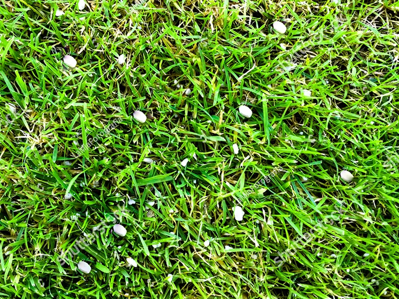 work photo from turfproslawncare.com
