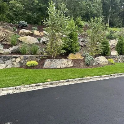 Natural boulders, stone wall and new plantings