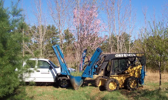 Greeno Tree Spade Services work photo