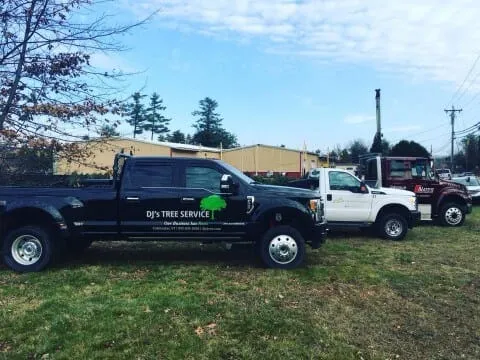 DJ's Tree Service researched project photo