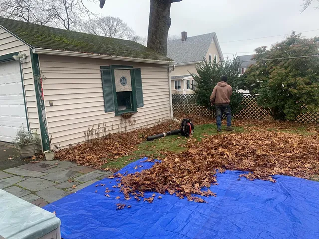 Five Star Cleanouts & Junk removal work photo