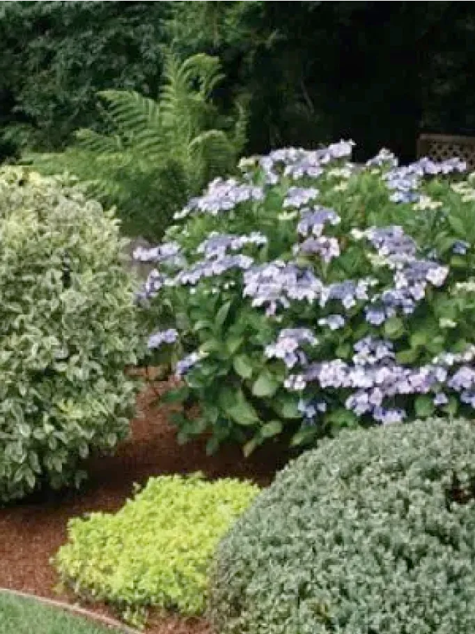 work photo from coldspringlandscapecontractors.com