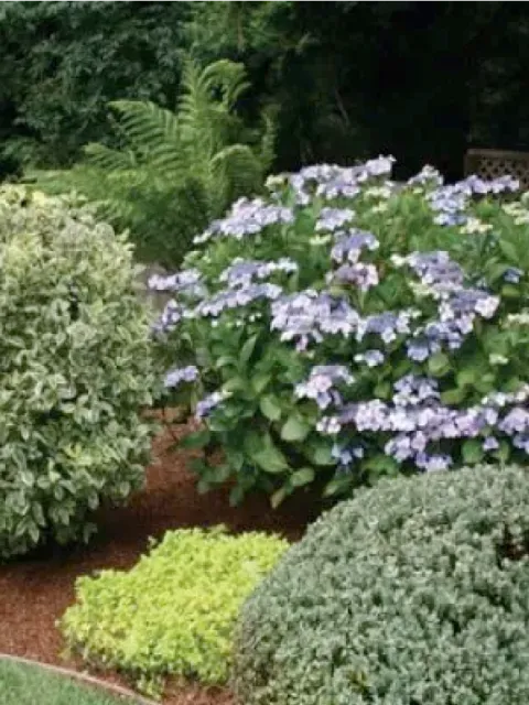 work photo from coldspringlandscapecontractors.com